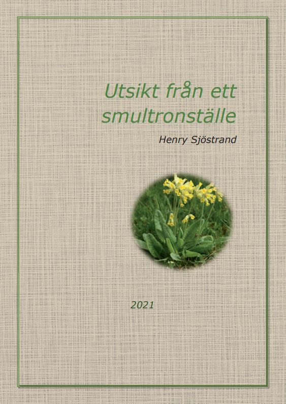 Sjöstrand, Henry | Utsikt från ett smultronställe