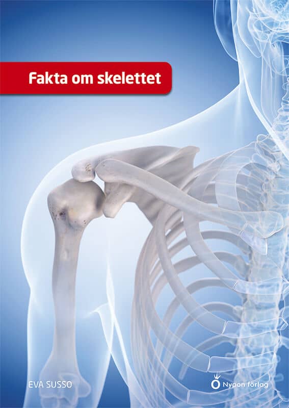 Susso, Eva | Fakta om skelettet