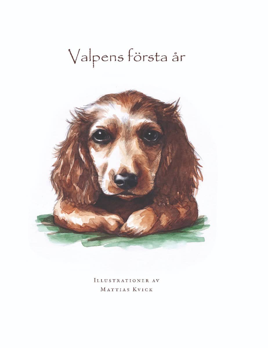 Leonkrone, Alexandra | Valpens första år