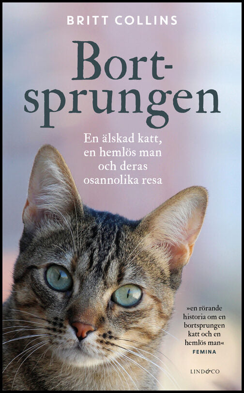 Collins, Britt | Bortsprungen : En älskad katt, en hemlös man och deras osannolika resa