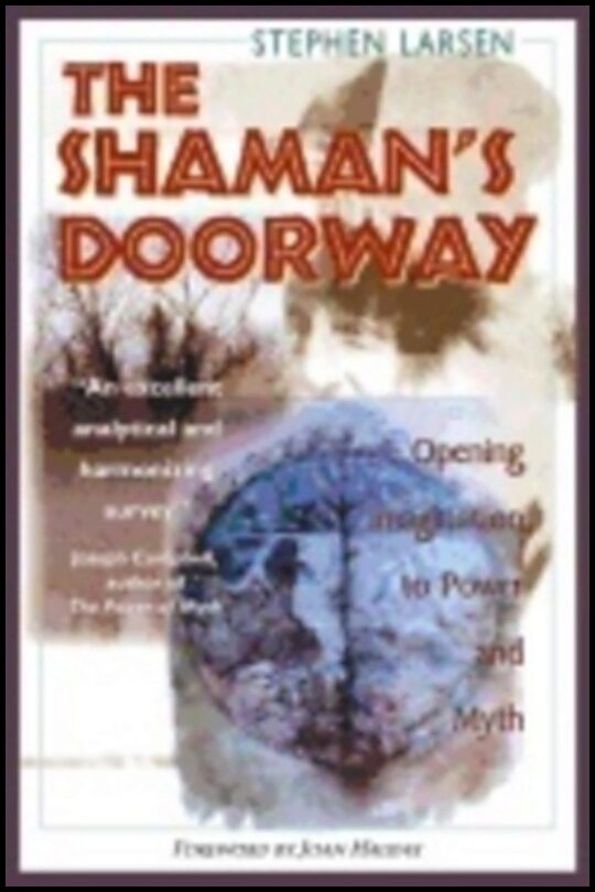 Larsen, Stephen | Shamans doorway : Opening imagination to power and myth