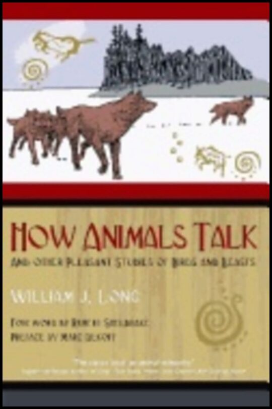 William J. Long | How Animals Talk : And Other Pleasant Studies of Birds and Beasts