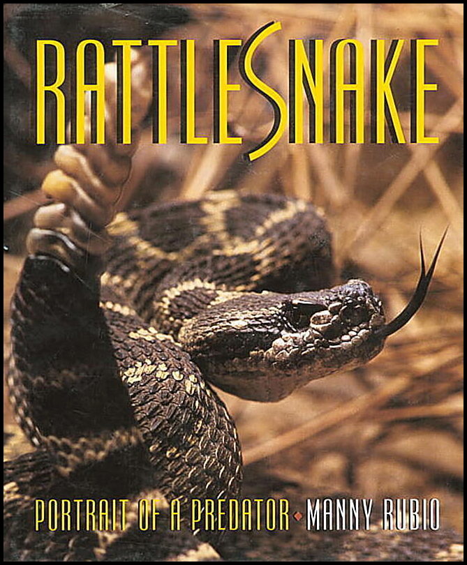 Manny Rubio | Rattlesnake