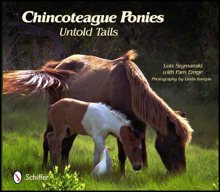 Emge, Pam | Chincoteague ponies : Untold tails