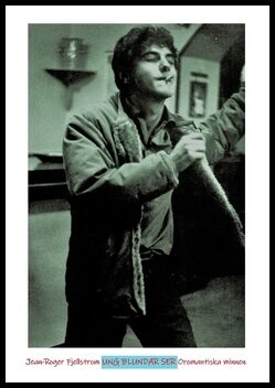 Fjellström, Roger | Ung, blundar, ser : Oromantiska minnen