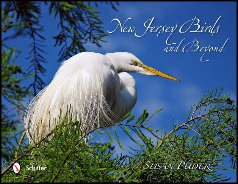 Susan Puder | New Jersey Birds And Beyond