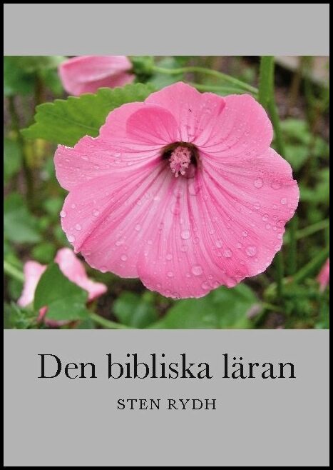 Rydh, Sten | Den bibliska läran : En sammanfattning av den evangelisk-lutherska kyrkans tro och bekännelse