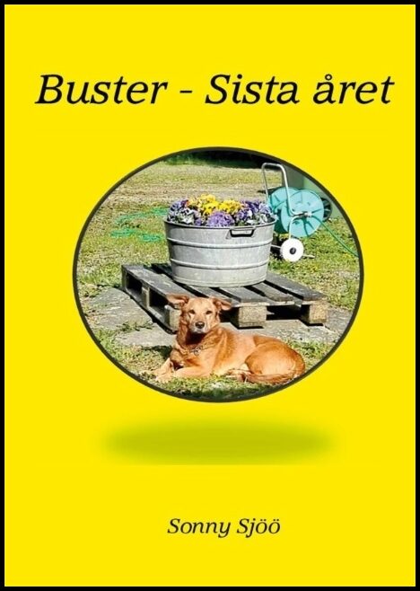 Sjöö, Sonny | Buster : Sista året