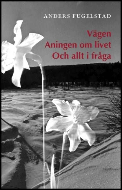 Fugelstad, Anders | Vägen aningen om livet och allt i fråga