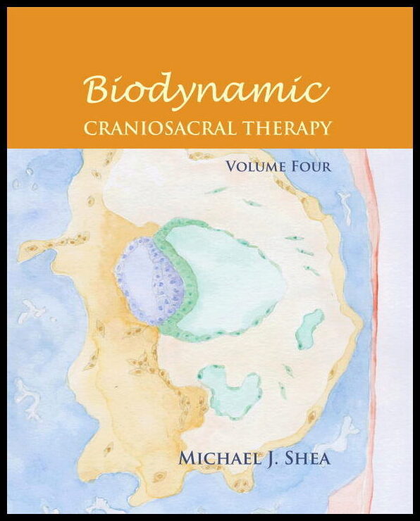 Shea, Michael J. Phd | Biodynamic Craniosacral Therapy, Volume Four