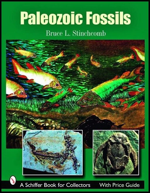 Bruce L. Stinchcomb | Paleozoic Fossils