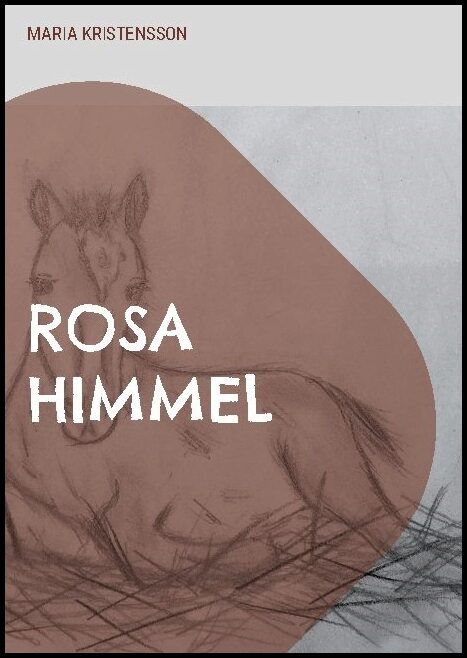 Kristensson, Maria | Rosa himmel : En berättelse om en pojkes hjälteinsats