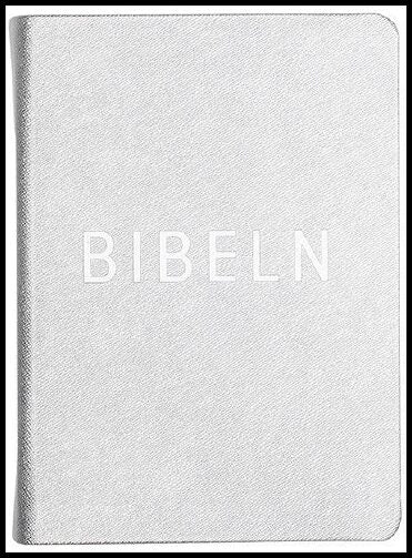 Bibel konfirmand silver