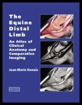 Denoix, Jean-marie (cirale-hippolia, Goustranville, France) | Equine distal limb : An atlas of clinical anatomy and com...