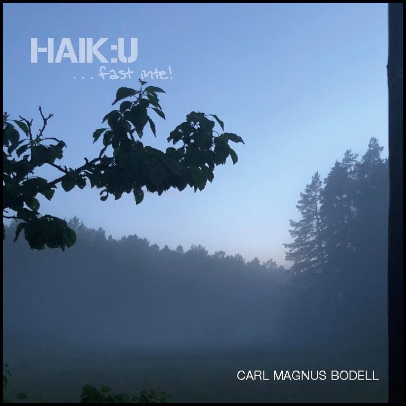 Bodell, Carl Magnus | Haik:u : Fast inte