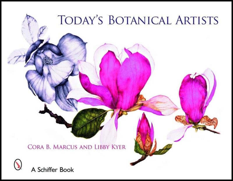 Cora Marcus - Libby Kyer | Today's Botanical Artists