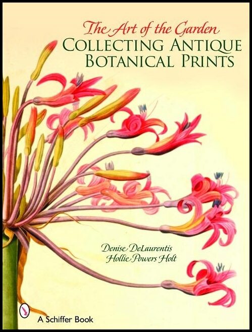 Denise DeLaurentis | The Art Of The Garden : Collecting Antique Botanical Prints