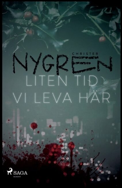 Nygren, Christer | Liten tid vi leva här