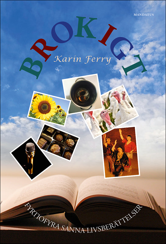 Karin Ferry | Brokigt