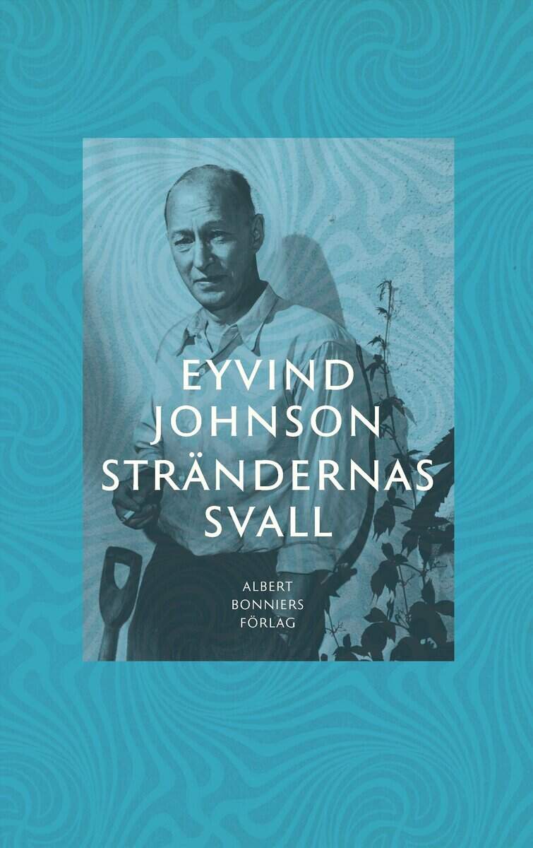 Boktips: Strändernas svall av Johnson, Eyvind