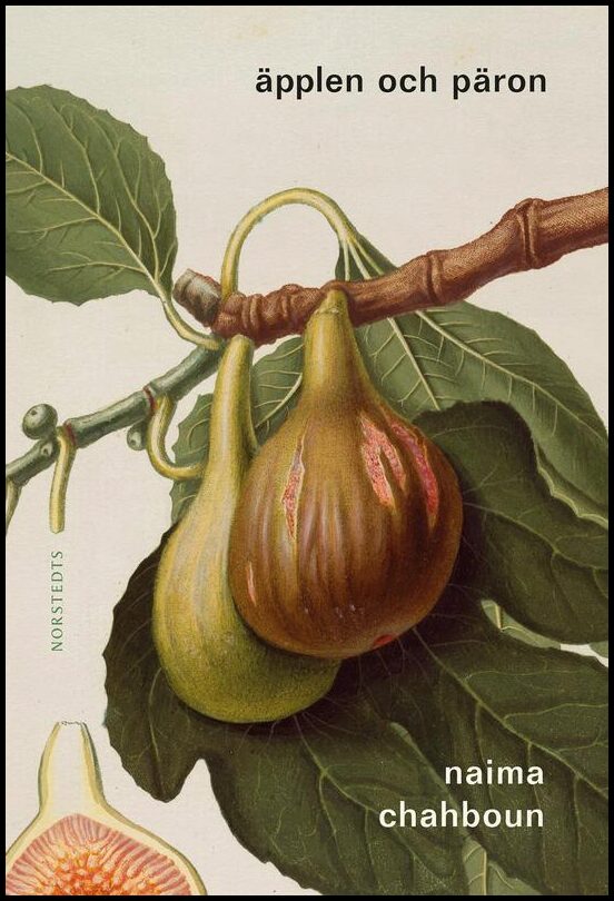 Boktips: Äpplen och päron av Chahboun, Naima