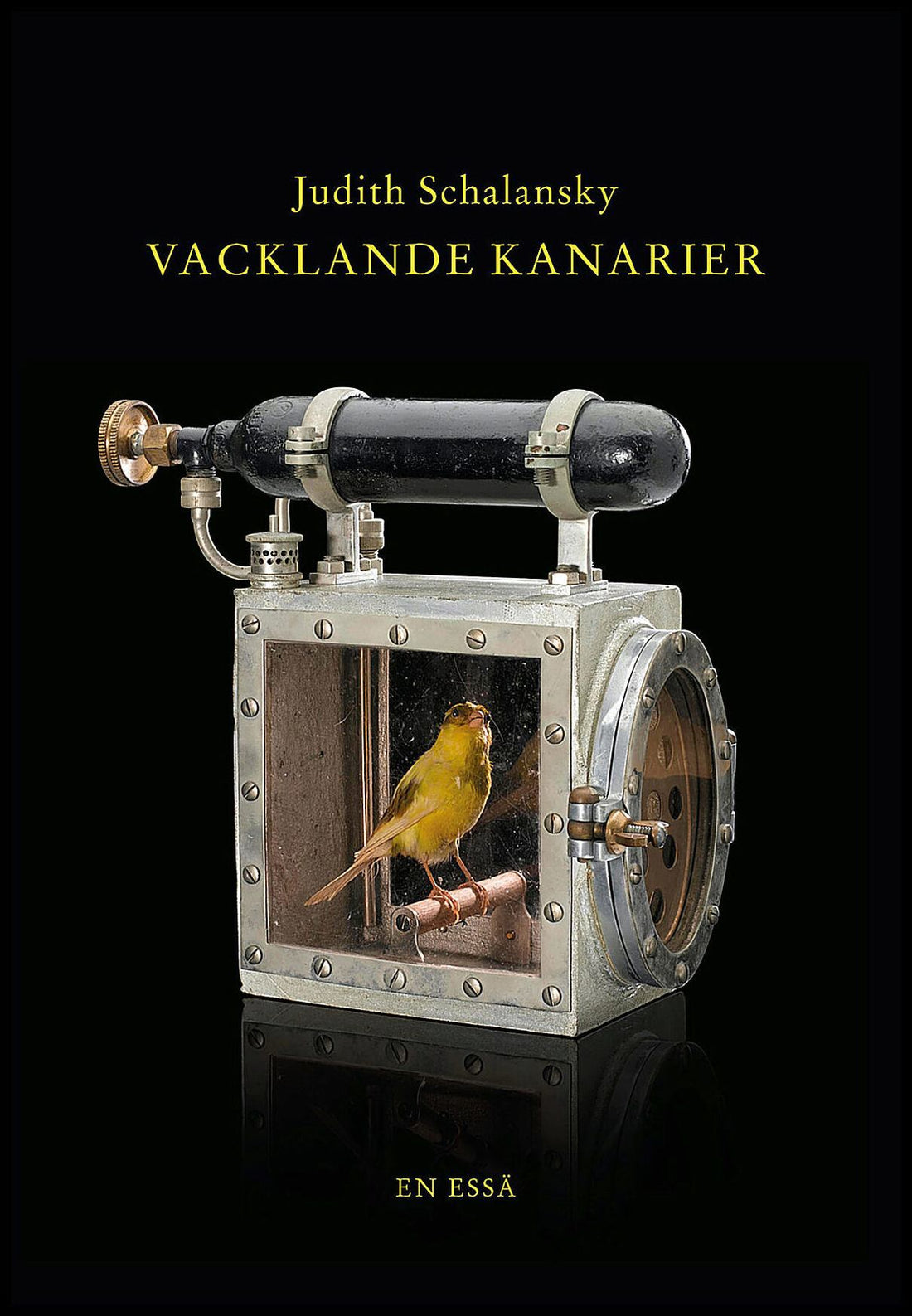 Boktips: Vacklande kanarier av Schalansky, Judith