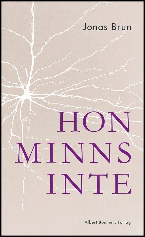 Boktips: Hon minns inte av Brun, Jonas