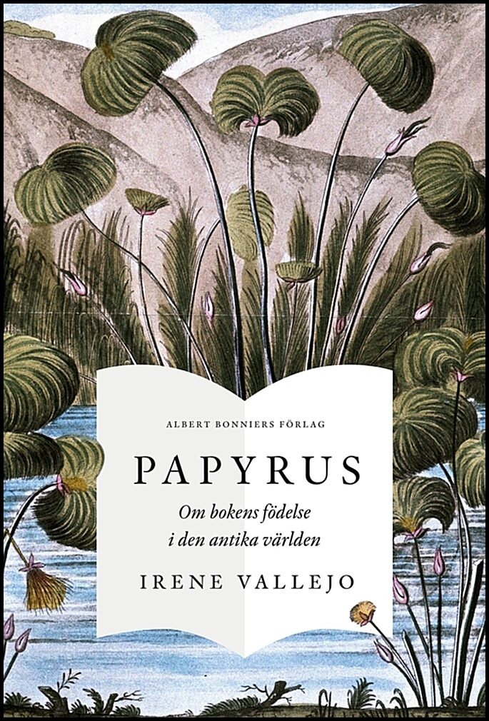 Boktips: Papyrus av Vallejo, Irene