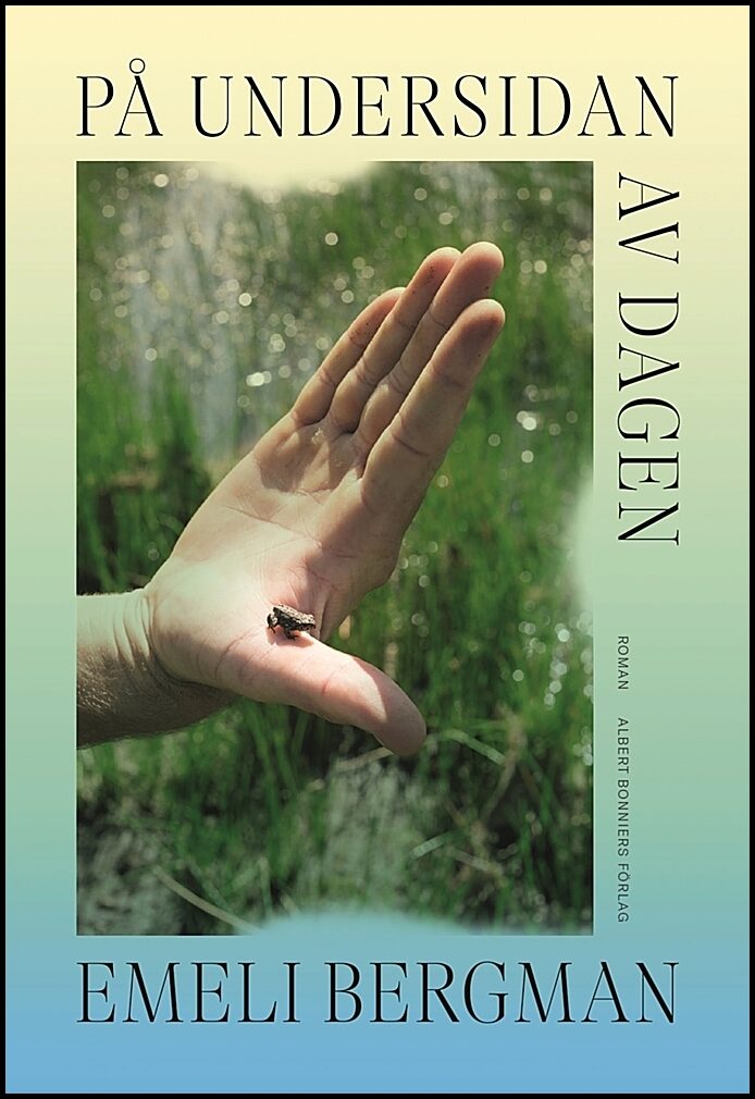 Boktips: På undersidan av dagen av Bergman, Emeli