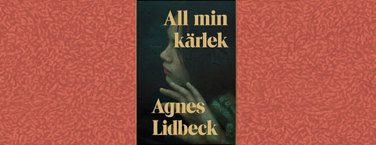 All min kärlek av Agnes Lidbeck