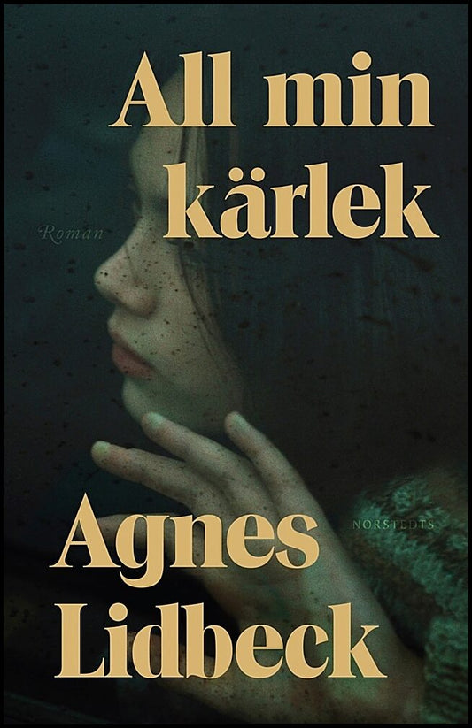 Boktips: All min kärlek av Lidbeck, Agnes