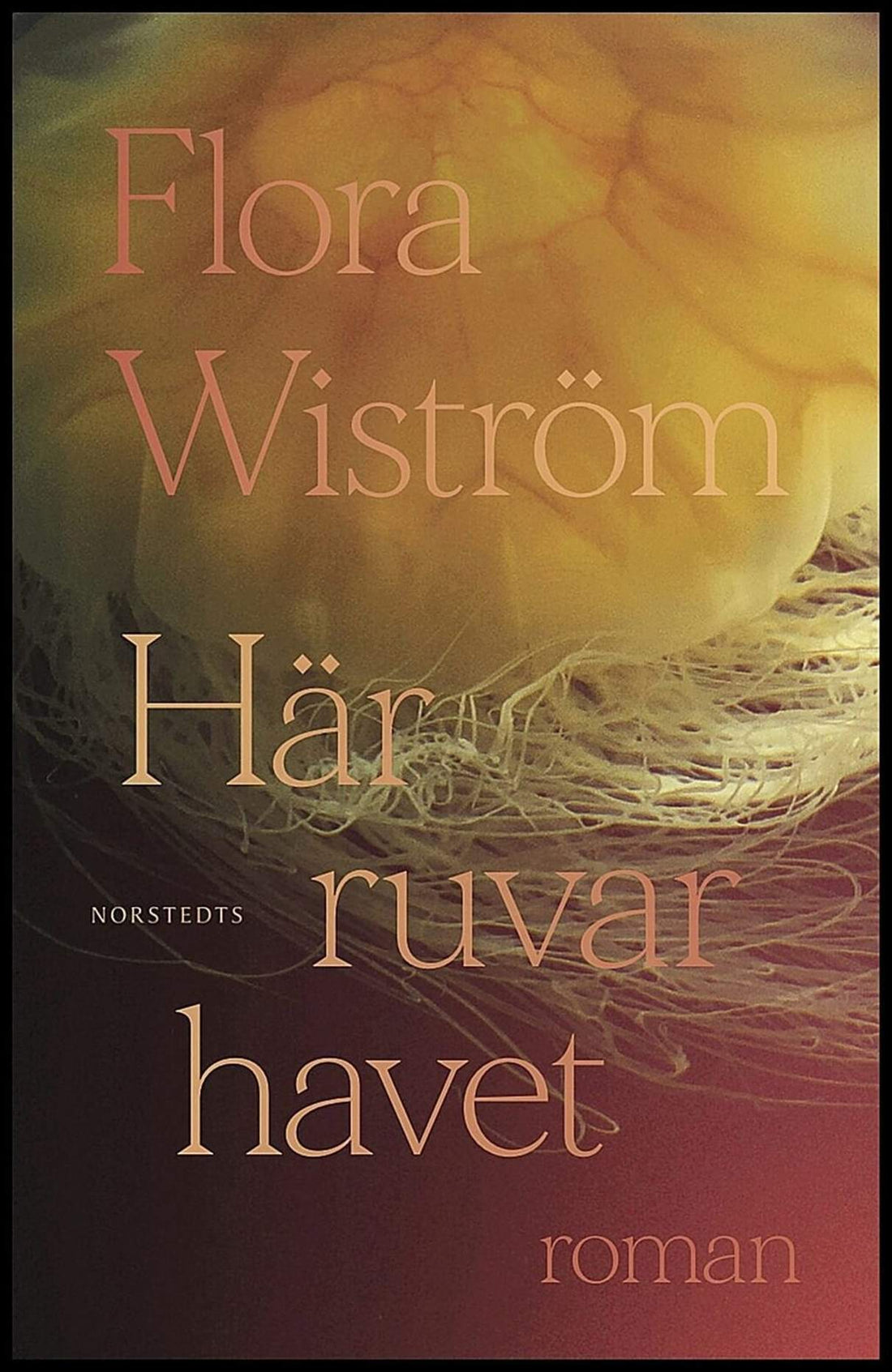 Boktips: Här ruvar havet av Wiström, Flora