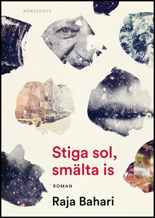 Boktips: Stiga sol, smälta is av Bahari, Raja