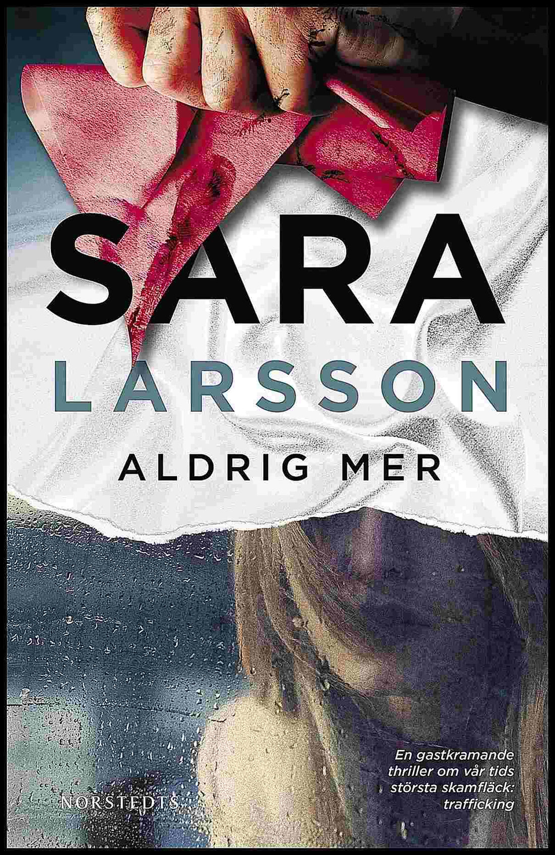 Boktips: Aldrig mer av Larsson, Sara