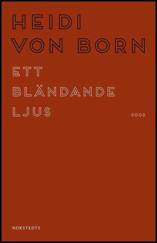 Boktips: Ett bländande ljus av Born, Heidi von