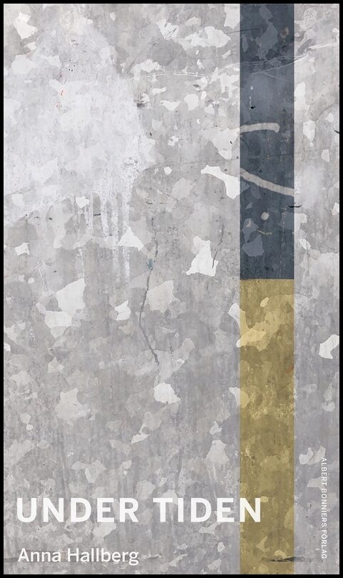 Boktips: Under tiden av Hallberg, Anna