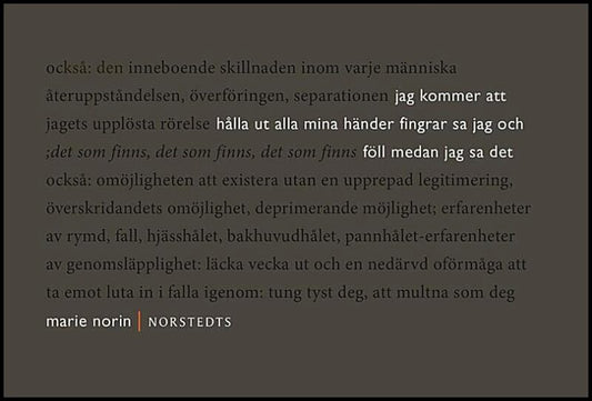 Boktips: jag kommer att hålla ut alla mina händer fingrar sa jag av Norin, Marie
