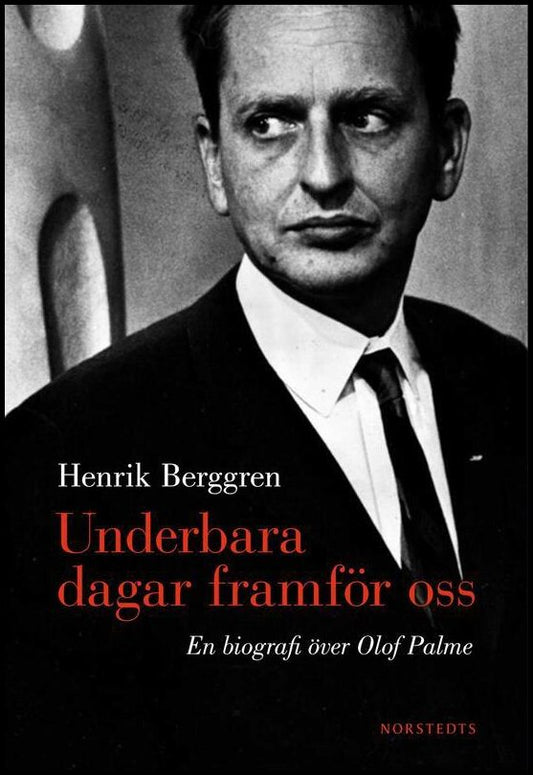 Boktips: Underbara dagar framför oss av Berggren, Henrik