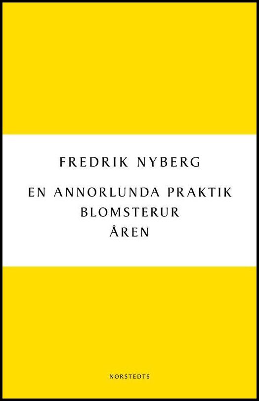 Boktips: En annorlunda praktik av Nyberg, Fredrik