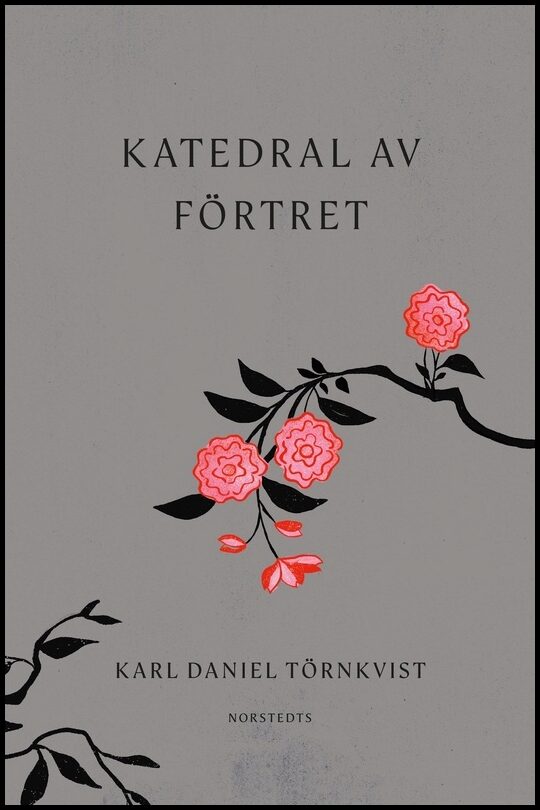 Boktips: Katedral av förtret av Törnkvist, Karl Daniel