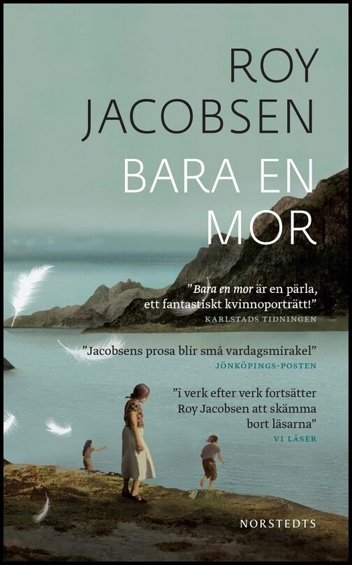 Boktips: Bara en mor av Jacobsen, Roy