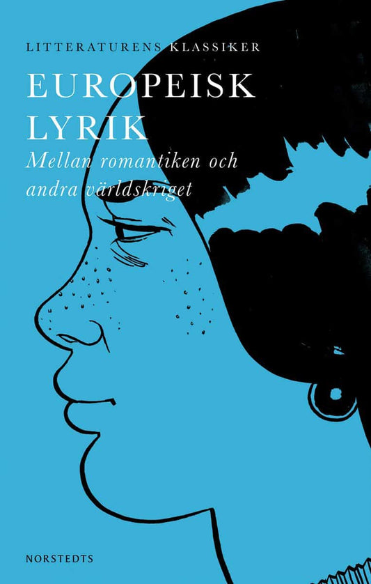 Litteraturens klassiker av Lennart Breitholtz