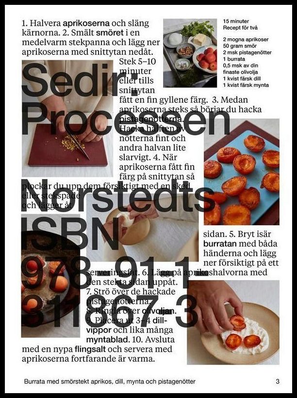 Boktips: Sedir av Ajeenah, Sedir