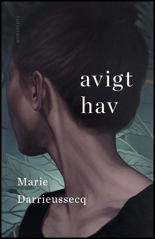 Boktips: Avigt hav av Darrieussecq, Marie