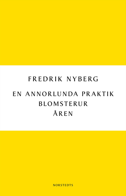 Boktips: En annorlunda praktik av Nyberg, Fredrik