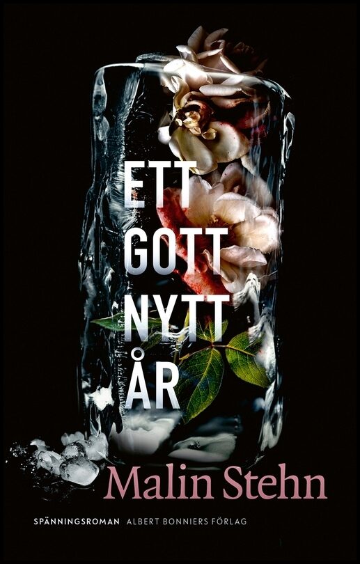 Boktips: Ett gott nytt år av Stehn, Malin