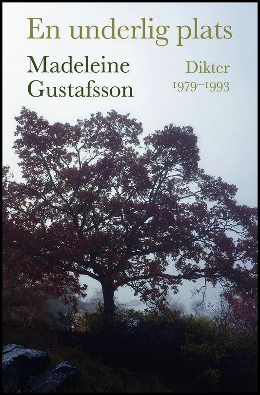 Boktips: En underlig plats av Gustafsson, Madeleine