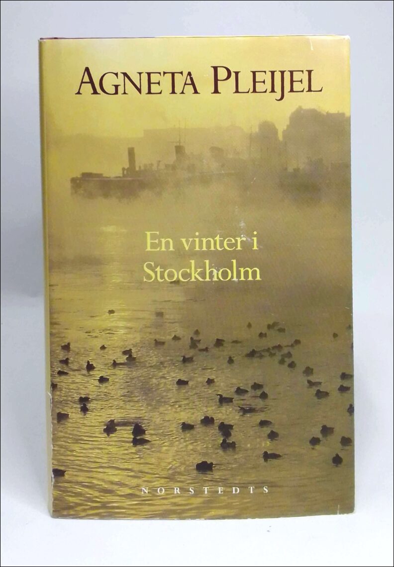 Boktips: En vinter i Stockholm av Pleijel, Agneta