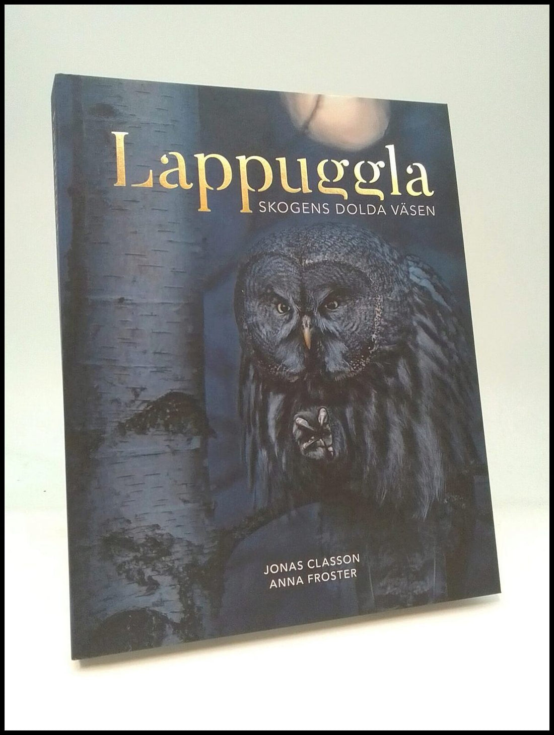 Boktips: Lappuggla av Classon, Jonas ; Froster, Anna
