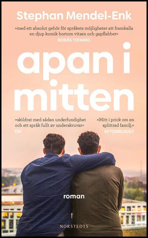 Boktips: Apan i mitten av Mendel-Enk, Stephan